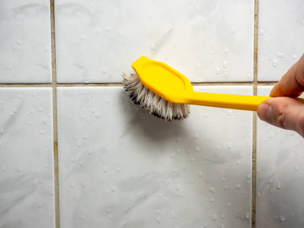 Best Insurance-Related Mold Remediation in Oliver Springs, TN