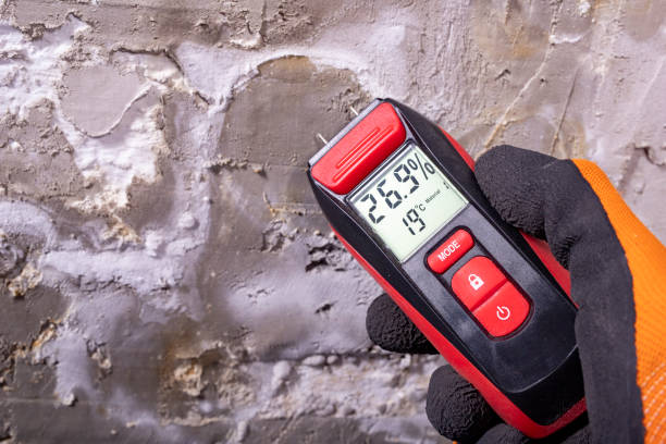 Best Post-Flood Mold Remediation in Oliver Springs, TN